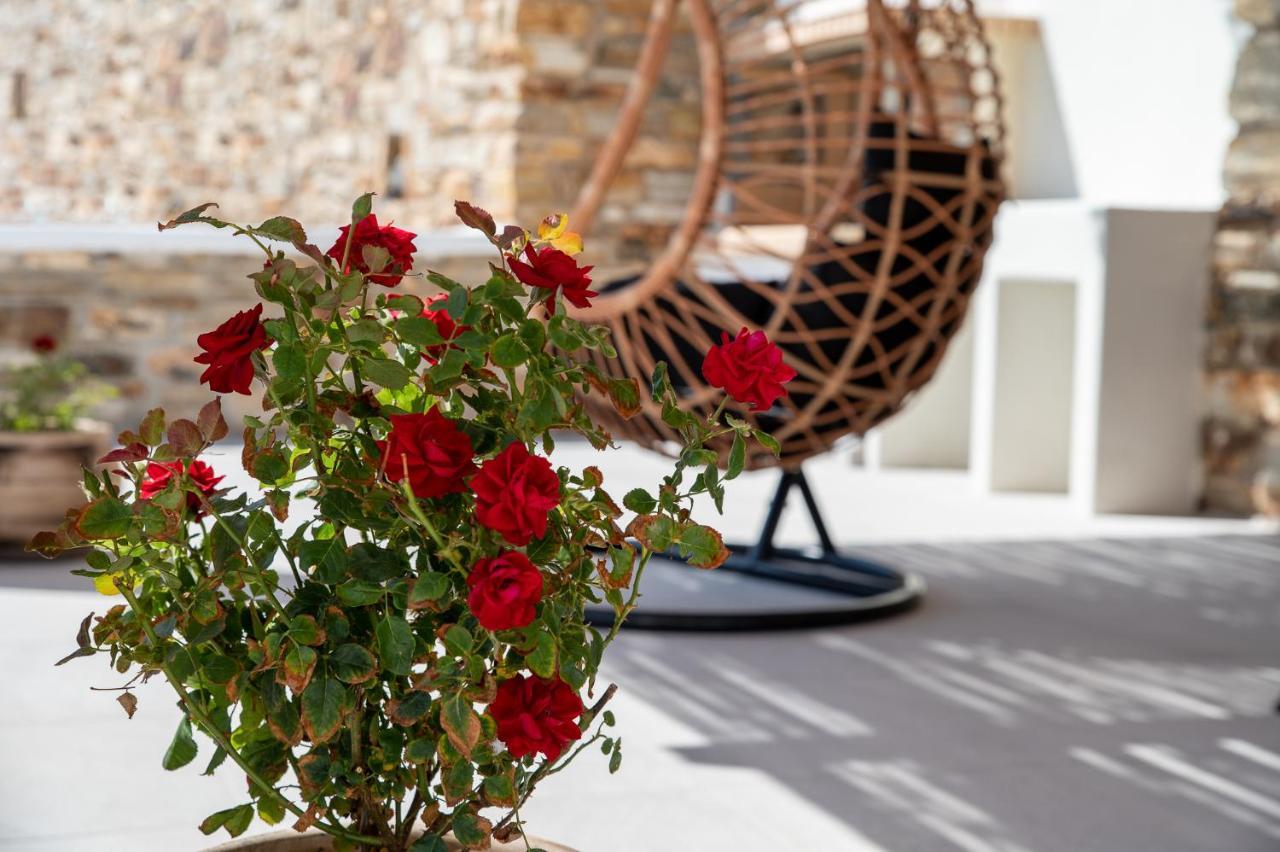 Naxos Skyline Deluxe Villas Agkidia Extérieur photo